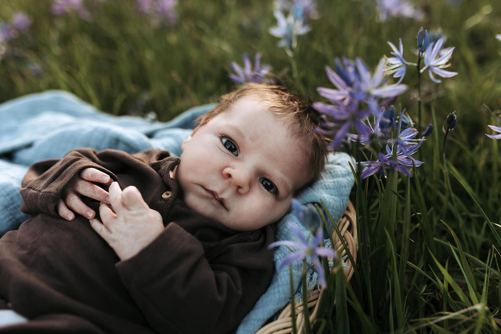 Newborn baby laying in a basket in a field of flowers