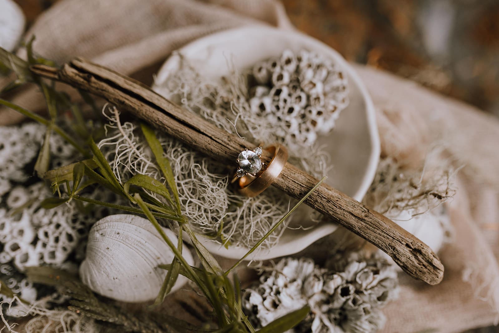 Gorgeous rings of a bride and groom close up shot with seashells, driftwood, and sea grass